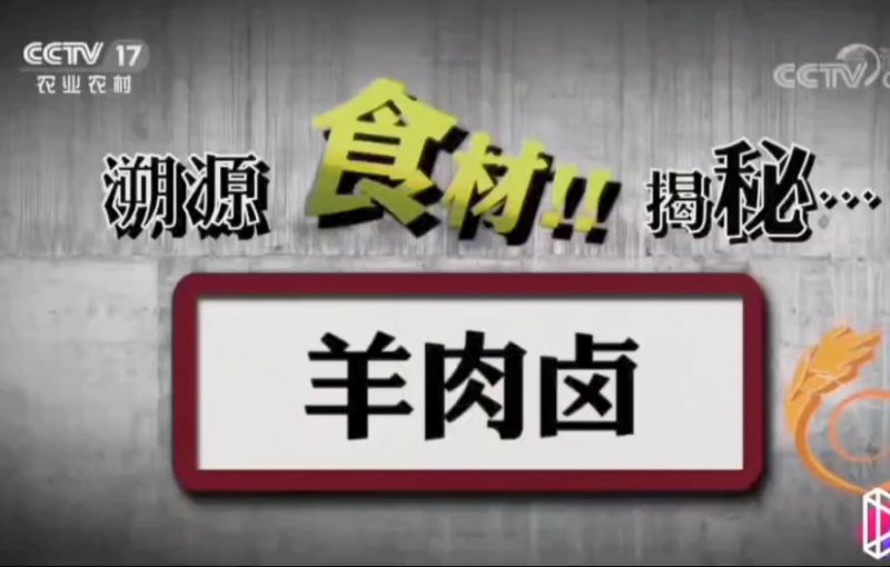 CCTV17 播出视频